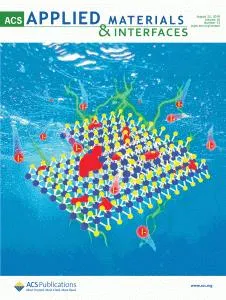 ACS Applied Materials & Interfaces Journal Cover