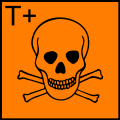 T+