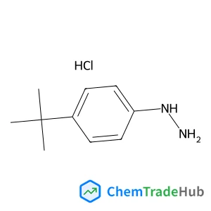 128231-55-0 - [4-(2-Methyl-2-propanyl)phenyl]hydrazine hydrochloride (1:1)