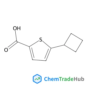 5-cyclobutylthiophene-2-carboxylic acid 5-cyclobutylthiophene-2-carboxylic acid