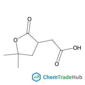 412298-86-3 - (5,5-Dimethyl-2-oxotetrahydro-3-furanyl)acetic acid