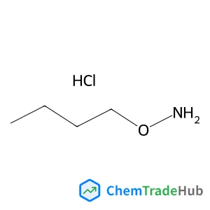 4490-82-8 - i>-丁基羟胺盐酸盐